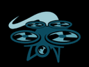 SkySnap Studio Logo